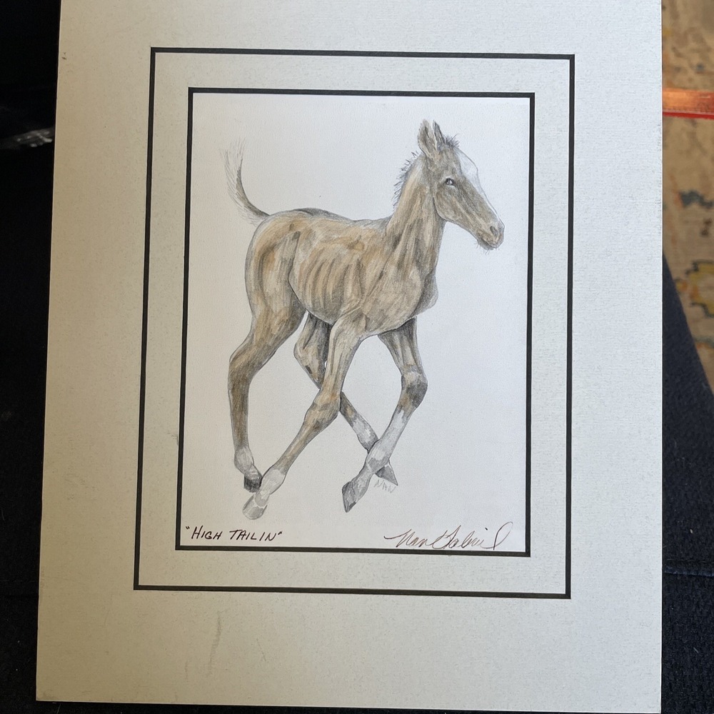 Horse Foal Signed Art Print With Mat By Nan Gabriel 'High Tailin' Equine Arabian